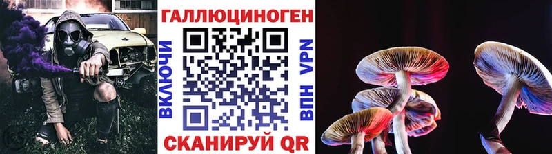 Галлюциногенные грибы Psilocybine cubensis  площадка клад  Углегорск 